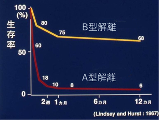 A型解離とB型解離の生存率の違い