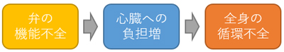 弁膜症になるとどうなる？