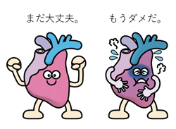 病態の進展（代償機構の破たん）