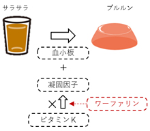 2.ワーファリンの管理